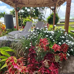  Couette-café Le Petit Paradis Guadeloupe